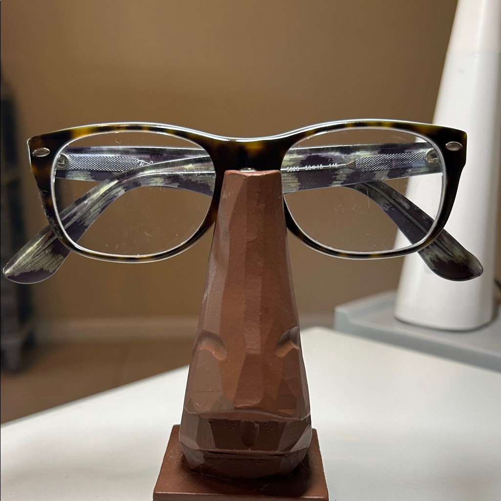 Ray-Ban Brown Frames